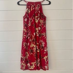 Women’s White House Black Market Dress